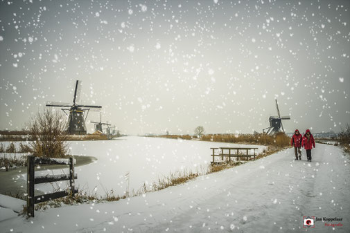 Snow is Falling (Kinderdijk, januari 2019)