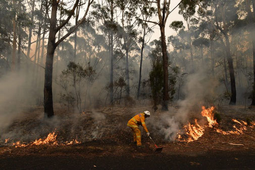 firemen fire bushfire australia #australiaburns