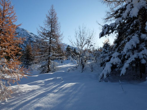 randonnée en raquette à briançon montgenèvre