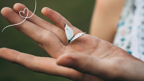 Achtsamkeit – Wahrnehmen, was gerade ist. Wie ein Schmetterling auf deiner Hand.