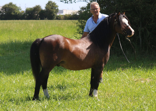 Islyn Derwyn, 28-07-2024