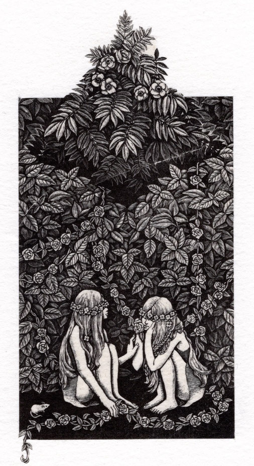 ハーバリウム2/ 赤池 ももこ/木口木版画/12.3×6.3cm/シート￥13,200(税込)/額装済 ￥15,800(税込)