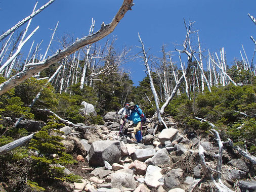 蓼科山　登山　ガイド