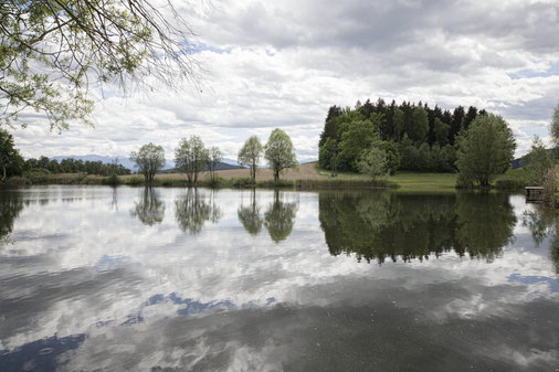 Spiegelung