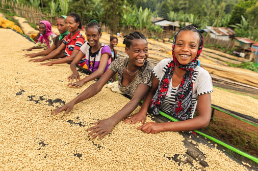 GIZ AgriChains aims at improving the sustainability of agricultural supply chains, e.g.in coffee cultivation in Ethiopia