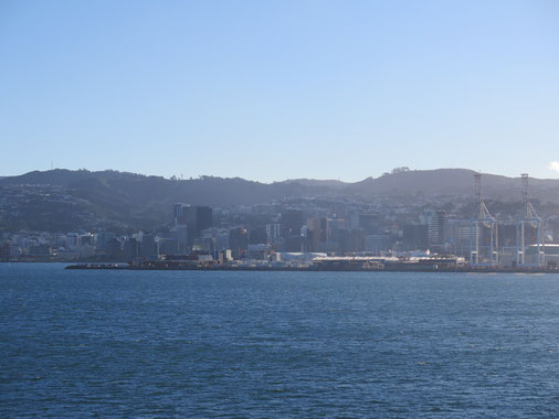 "Auf Wiedersehen" Wellington! 