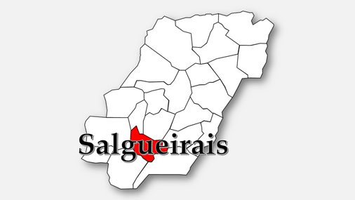 Freguesia de Salgueirais (Celorico da Beira)