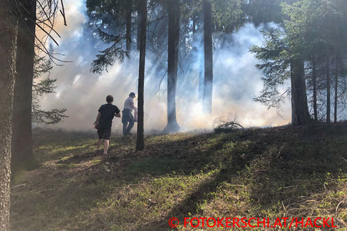 Feuerwehr; Blaulicht; Fotokerschi.at; Brand; Wald; Anrainer; verhindert; Lasberg;