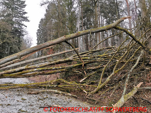 Feuerwehr; Blaulicht; Fotokerschi.at; FF Schwertberg; Sturmeinsatz;
