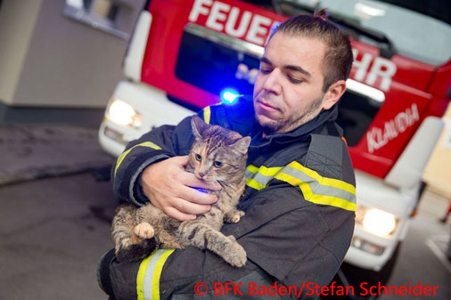 © Bezirksfeuerwehrkommando Baden/Stefan Schneider