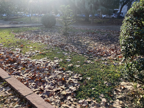 Jardines de Valencia