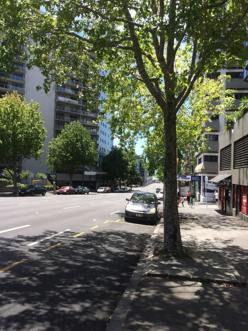 Bienvenue à Auckland!