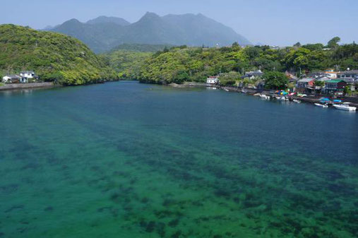 屋久島　安房川