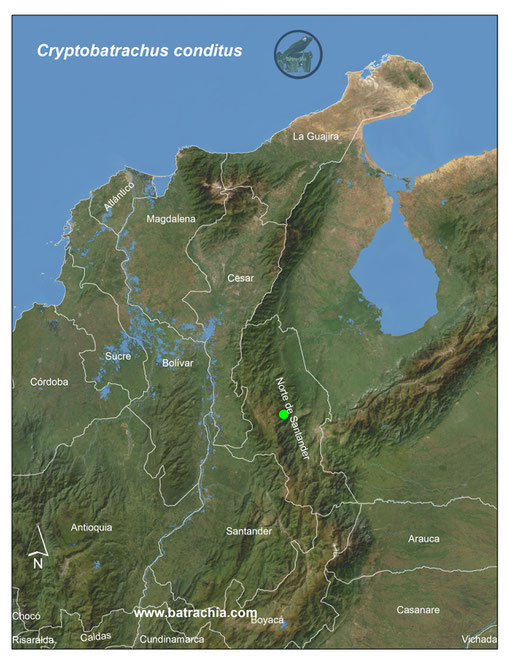 Distribución en Colombia.