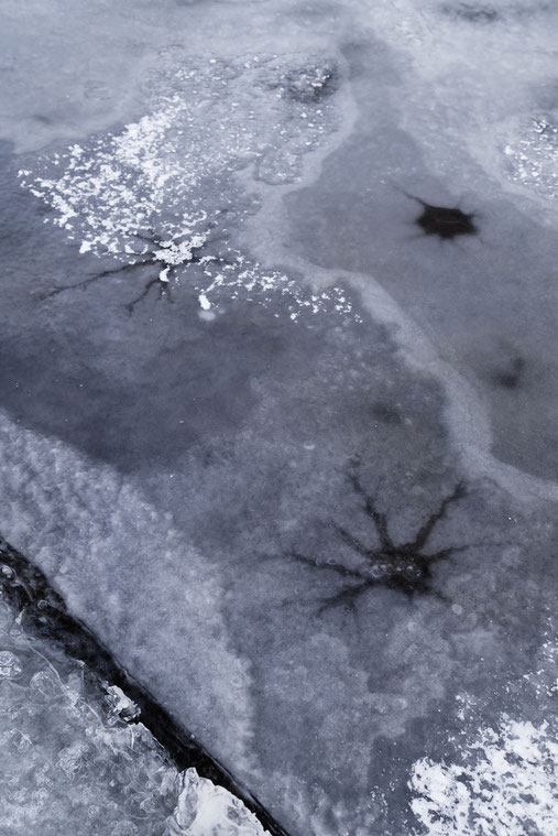 一冬一会　Once upon a winter 凍る湖　糠平湖　北海道　冬景色 hokkaido nature ice landscape photography