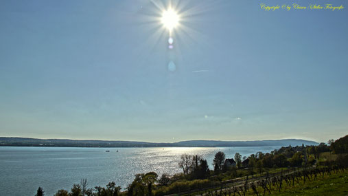 Tuning World Bodensee, Clasen/Stiller Fotografie, Udo Clasen, Patrick Stiller, Tuning, carlifting, Bodensee,