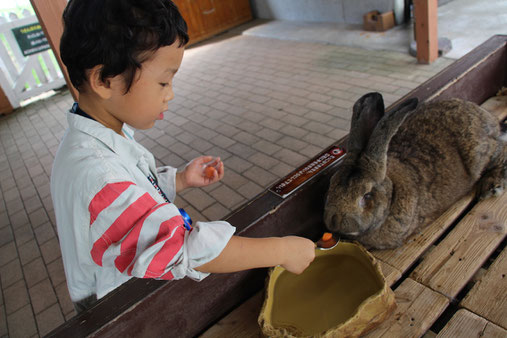 那須どうぶつ王国