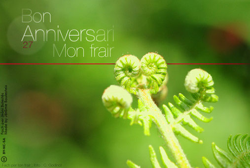 Carta d'anniversari - 27