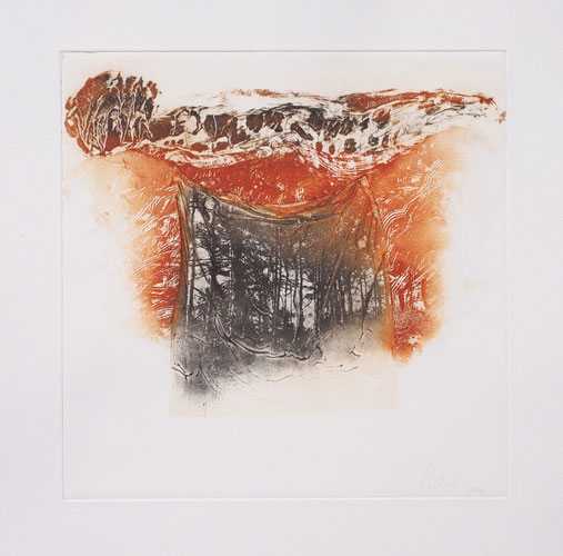 Photopolymerdruck von Katharina Lechner Atelier tiefdruckArt