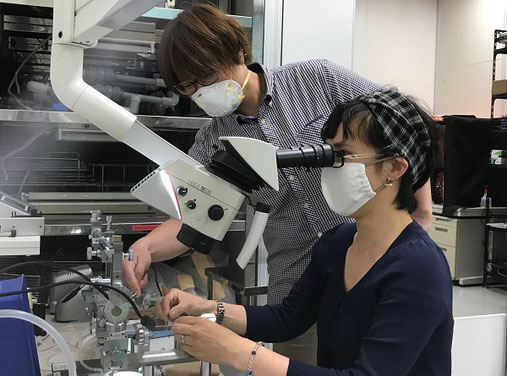 研究員と一緒に手術中