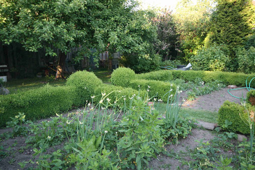 unser Gemüsegarten