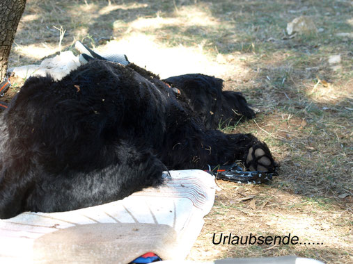 Der letzte Tag am Strand