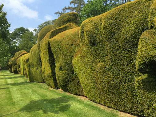 Gartenreise England Sehenswürdigkeiten Dottington Place and Gardens