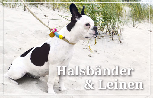 Hundehalsband Hundeleinen Tauleine Lederleine Lederhalsband Biothane Paracord Französische Bulldogge Strand