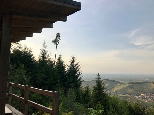 Schutzhütte Heidenknie auf der Schwarzwaldwanderung Durbacher Weitblick