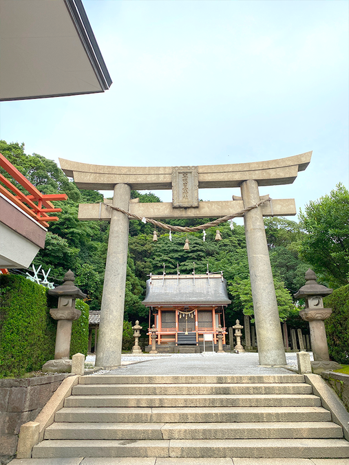 大分県杵築市のきつき紅茶