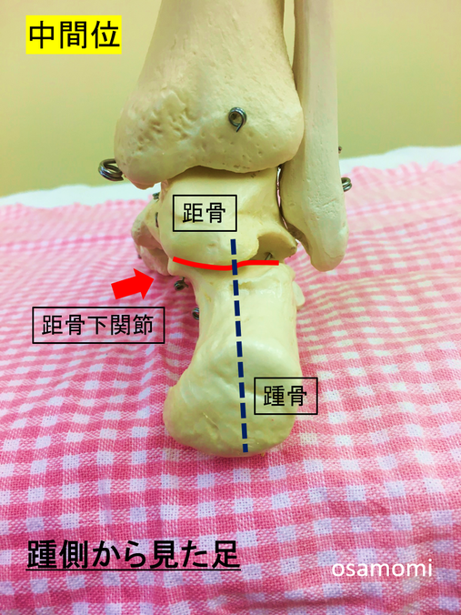 回内・回外 昭島市の足膝専門、オサモミ整体院。