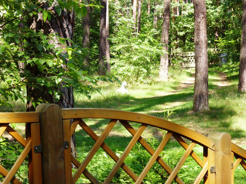 Blick von der Terrasse