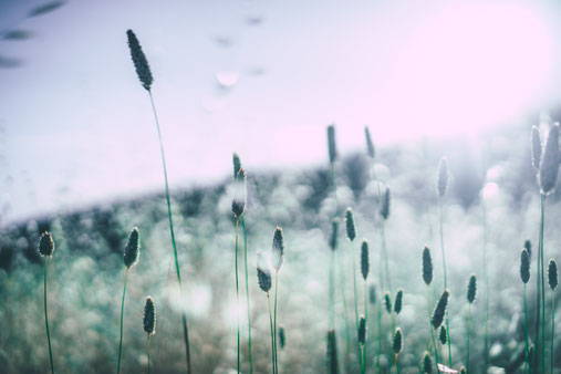 Foto: unsplash