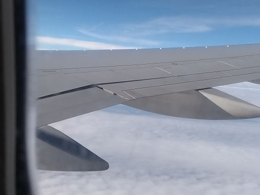 This wing does not look quiet well...