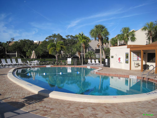 Siesta Key Beautiful Vacation Rental - Ferienwohnung - Midnight Cove II - Heated Pool