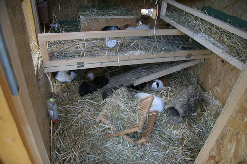 Haus für die Grossgruppe mit 2 Eingängen