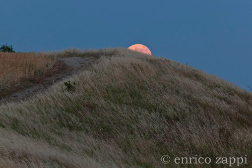 23 giugno 2013- La Luna Rossa fa capolino da dietro una collinetta della Valle del Vento, in tutto il suo fascino e la sua accattivante bellezza.
