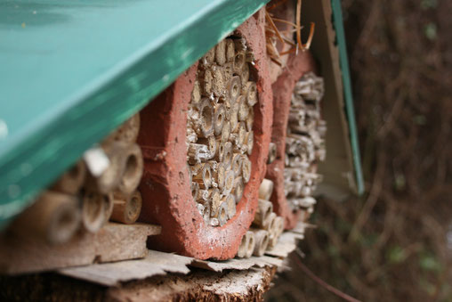 Foto: Insektennisthilfe, Quelle: NABU/ E. Neuling
