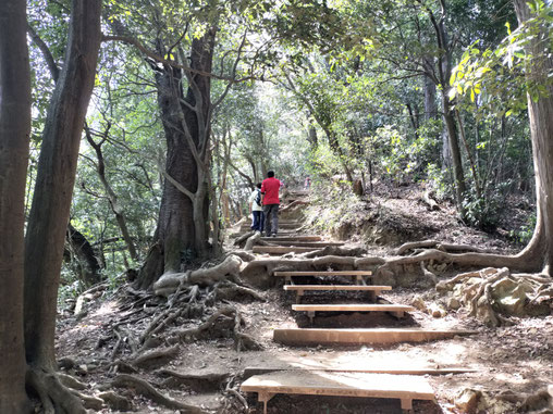 Wooden steps have been added to many sections