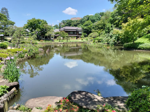 Early summer at the Higo Hosokawa Garden