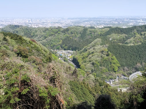 Viewpoint towards the city