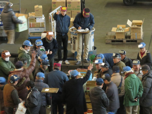 Vegetables auction at Ota Market