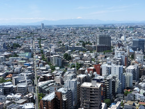 View towards suburban Tokyo and Mt Fuji from the Carrot Tower in Sangenjaya