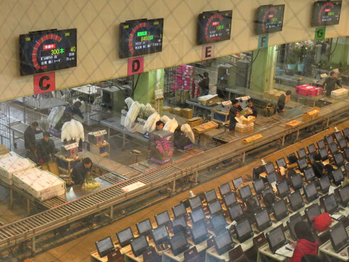 Flower auctions at Ota Market