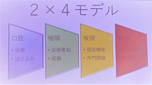 ２×４理論（口腔・咽頭・喉頭・食道の4つの器官に各2つの機能障害）の説明