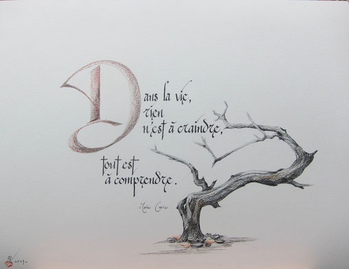 C184 - 50x65 - Encre et aquarelle -  70€ 