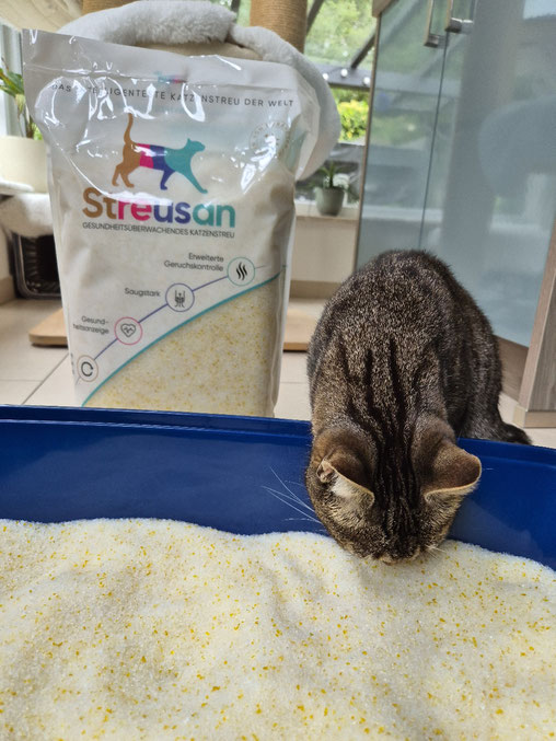 Das Angenehme an der Streusan Streu: Sie ist geruchsfrei!