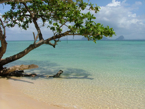 Koh Hai