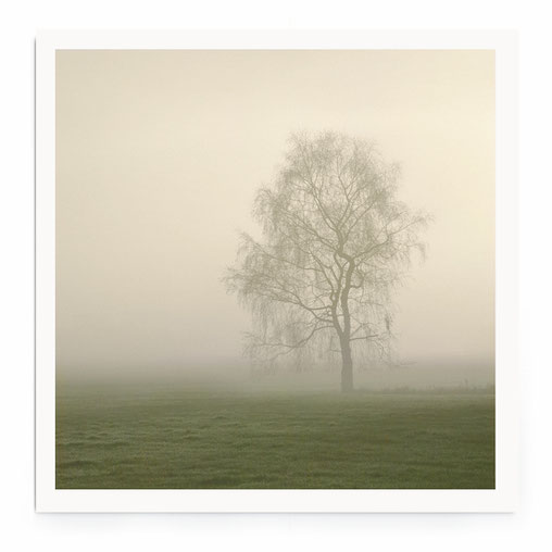 "Birk In Fog " Art Print. Minimalistische Nebellandschaft in Grüntönen.