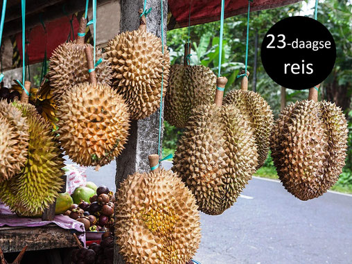 Durian in een kraampje langs de kant van de weg op Bali